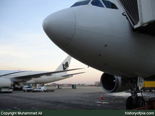 PIA Airbus A310-308